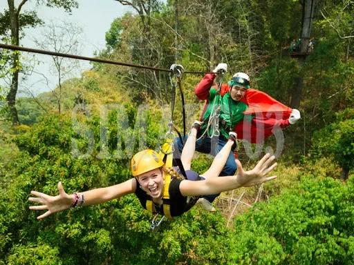 Backyard Adventure Zip Line Ki - Outdoor Adventure Zipline บทวิจารณ์และราคา
