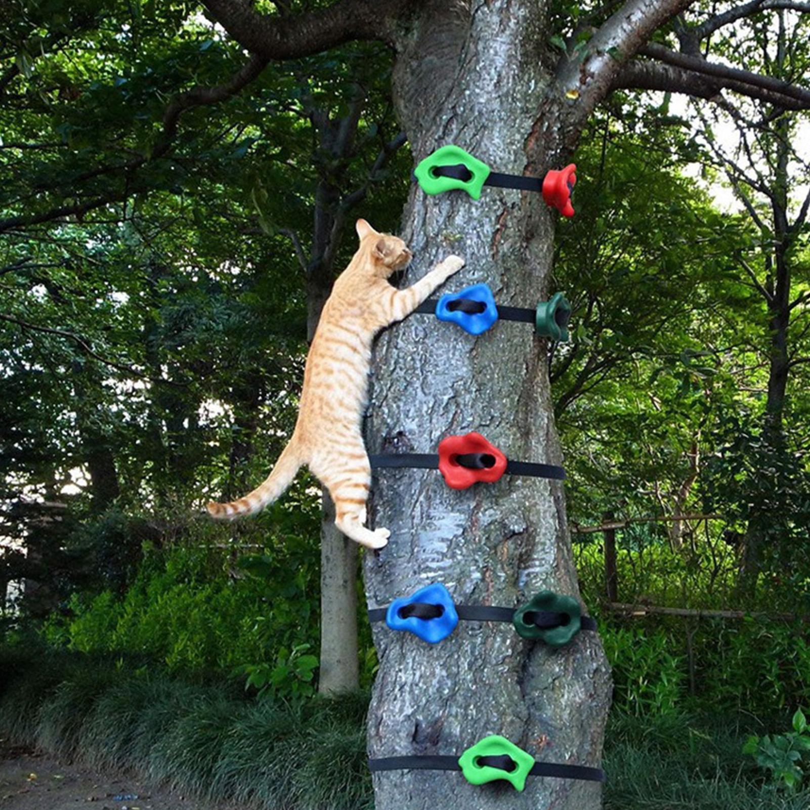 Outdoor Climbing Toys Adjustab - Outdoor Adventure Course บทวิจารณ์และราคา